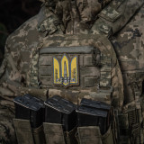 M-Tac нашивка Тризуб UA-Wing (вишивка) Coyote M-Tac нашивка Тризуб UA-Wing (вишивка) Coyote
