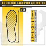 Кросівки тактичні Alligator Olive Кросівки тактичні Alligator Olive