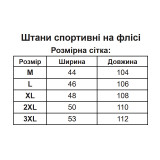 Штани спортивні на флісі Зимові чоловічі теплі чорні